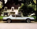 Avanti Luxury Sports Coupe 1987 года